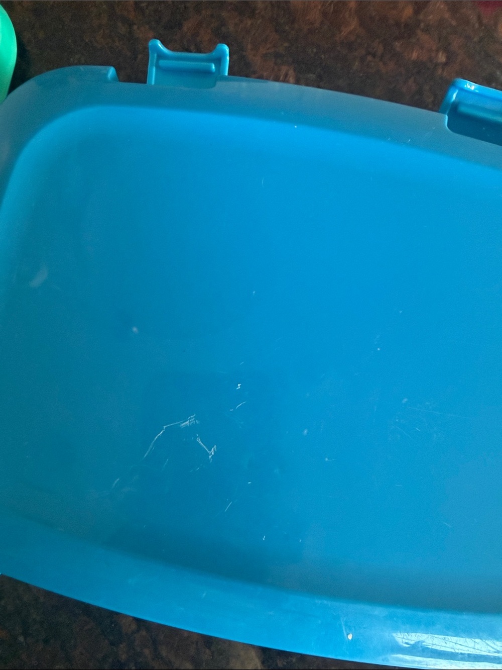 Storage Container (Bentgo) - Picture 9 of 9